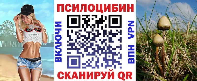 где найти наркотики  Майский  Галлюциногенные грибы прущие грибы 